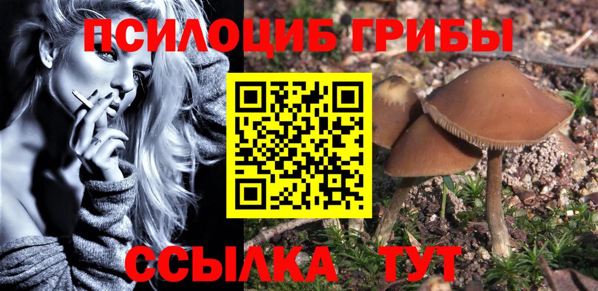 Псилоцибиновые грибы MAGIC MUSHROOMS  Вход с VPN  Галлюциногенные грибы ЛСД  Апатиты 
