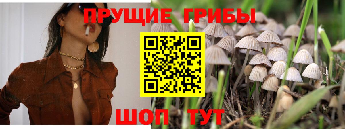 Псилоцибиновые грибы GOLDEN TEACHER Апатиты