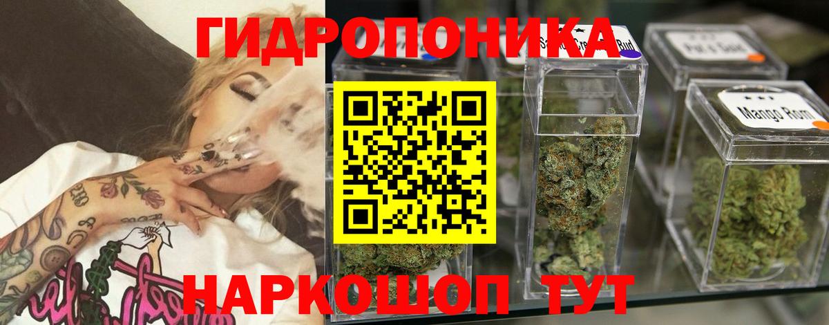 МАРИХУАНА марихуана Апатиты